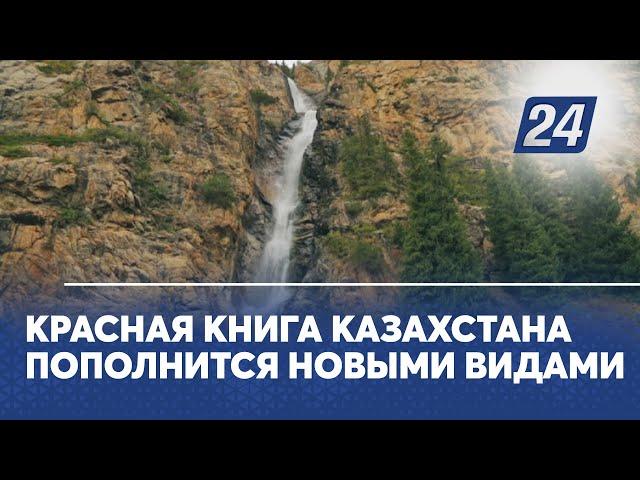 Красная книга Казахстана пополнится новыми видами