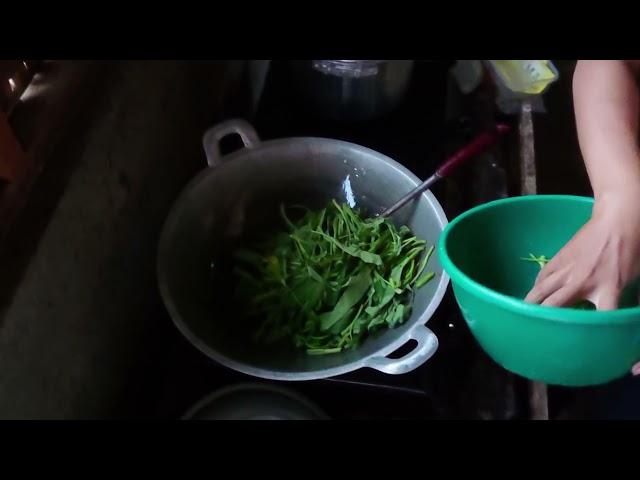 Masak Tumis KangKung