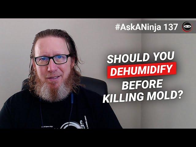 Should I Dehumidify Before Killing Mold? | Crawl Space Mold Removal