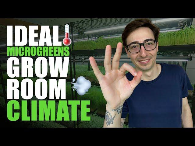 Microgreens Farm: Ideal Environmental Conditions