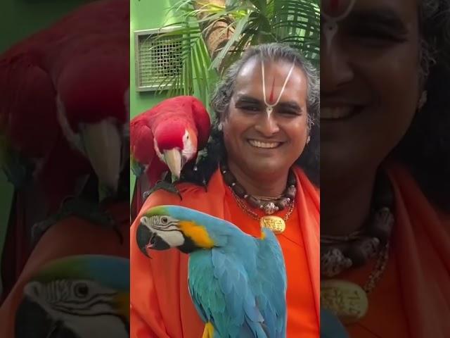 Paramahamsa Vishwananda - Sri Ganapati Sachchidananda Ashram