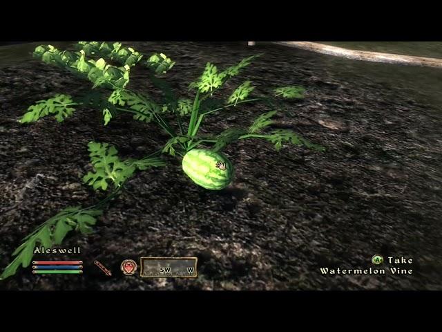 Oblivion: Watermelon