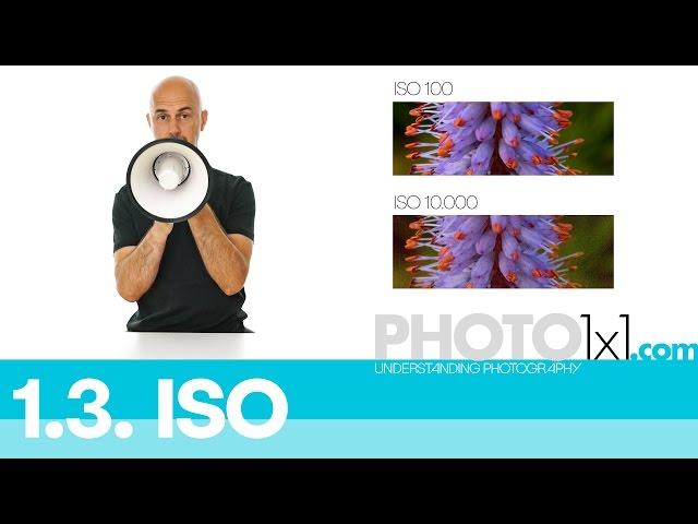 1.3. ISO explained - learn about ISO in less than 3 minutes - photo 1x1 the free photography course