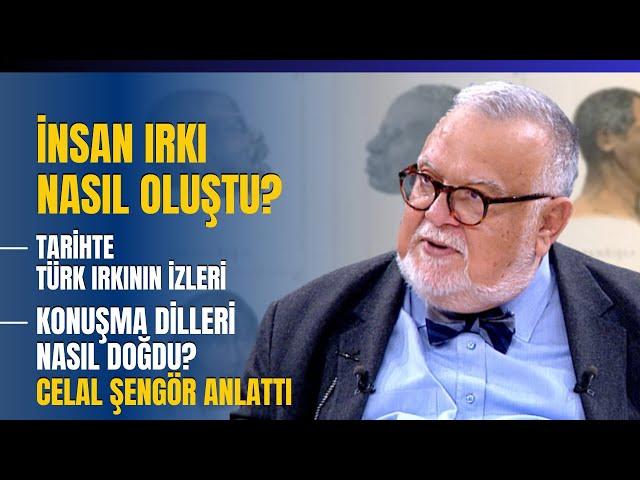 İnsan Irkı Nasıl Oluştu?