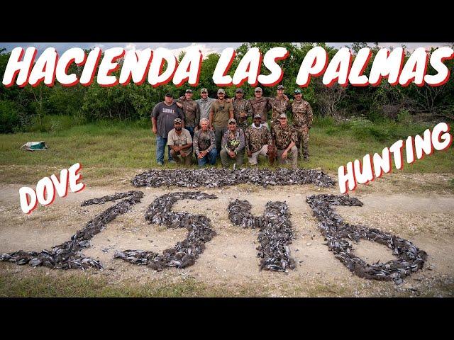 1500+ DOVES! HACIENDA LAS PALMAS - MEXICO DOVE HUNTING