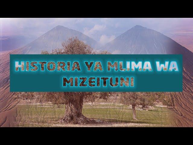 HISTORIA YA MLIMA WA MIZEITUNI NA MAAJABU YAKE