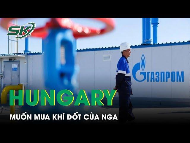 Giữa Cuộc Khủng Hoảng Năng Lượng, Thêm Quốc Gia EU Muốn Mua Khí Đốt Của Nga | SKĐS