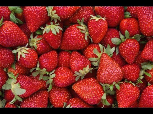 Industrial Agriculture and the Humble Strawberry