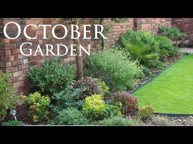 October Autumn garden tour flower tour update my walled garden 2022 UK fall garden