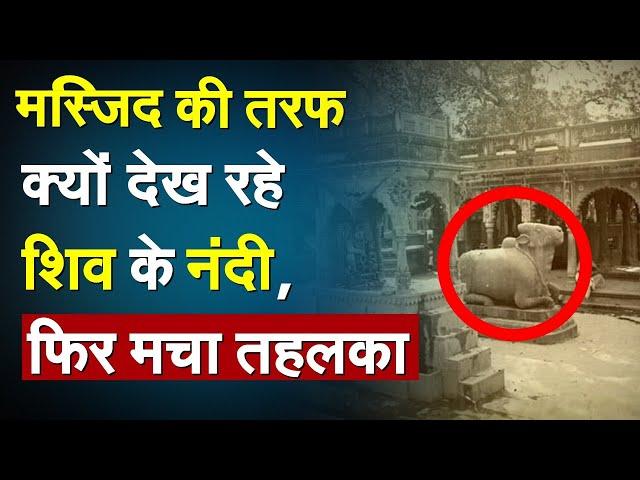 Gyanvapi Masjid Live Update : मुस्लिम पक्ष को बड़ा झटका, शिव के नंदी की चर्चा | Kashi |Breaking News