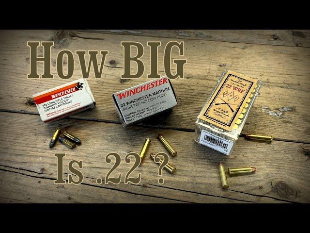 22 LR vs 22 WRF vs 22 WMR