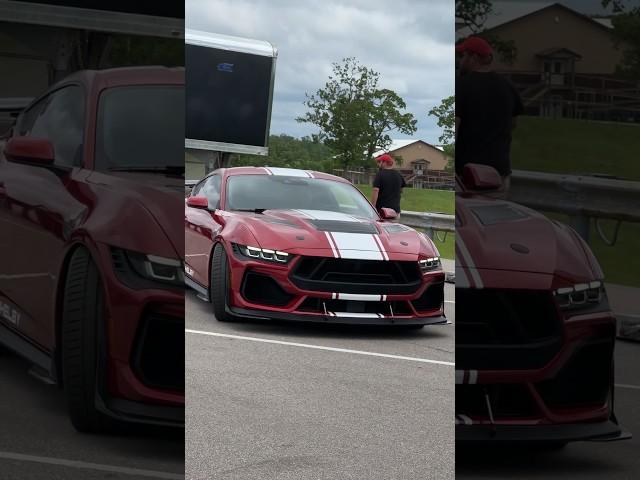 2024 Shelby Super Snake! ️