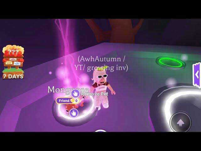 Making a NEON in ADOPT ME (no thumbnail… :( )