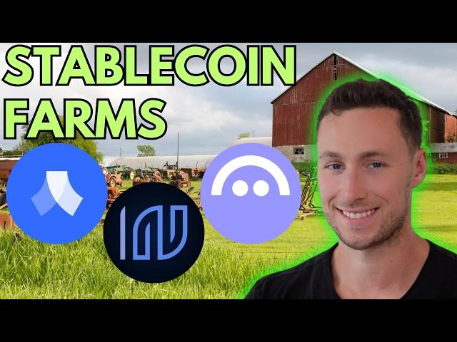 Top Stablecoin DeFi Farms for October 2024 (Yield and Airdrops!)