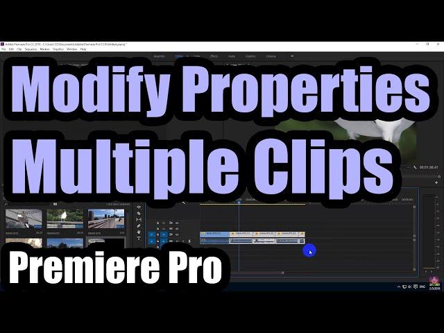 How to modify properties of Multiple Clips at once in Premiere Pro (Scale, Position, Rotation)