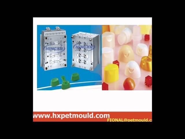 PET Preform Mould