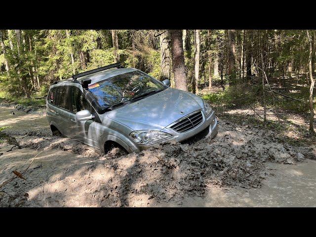 Эта дорога ВСЕХ шокировала! Сложный маршрут в лесу, Нива УАЗы и SsangYong преодолевают бездорожье.