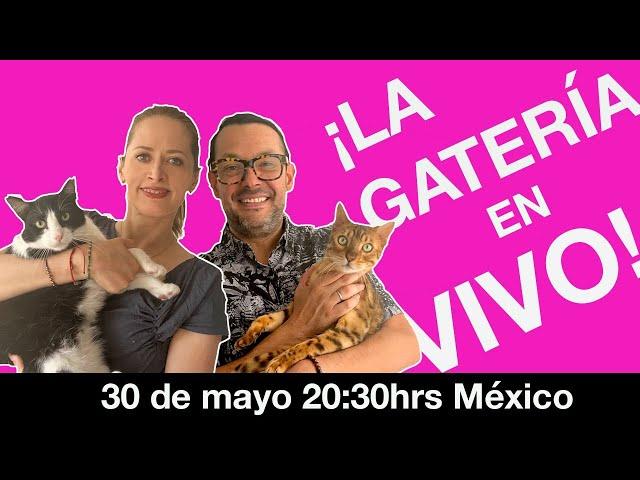 ¡LA GATERÍA EN VIVO!