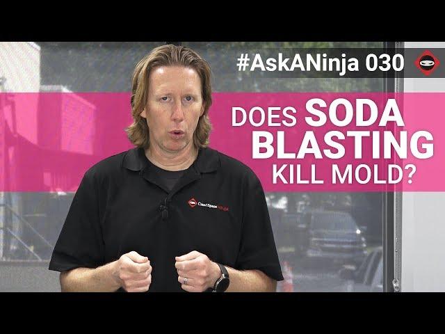 Does Soda Blasting Kill Mold? | Crawl Space Mold Removal