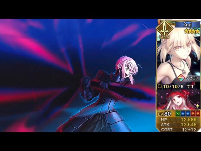 【FGO】Salter Black Grail Buster Looping Demo【Fate/Grand Order】