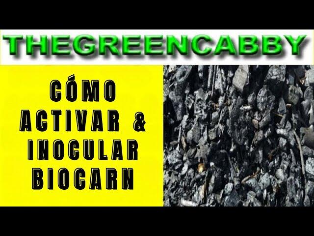 CÓMO ACTIVAR & INOCULAR BIOCARN - HOW TO ACTIVATE BIOCHAR