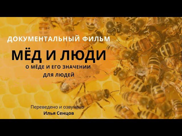 Мёд и люди (французский документальный фильм о пчелах) - Эфиопия, Аргентина, Корсика.