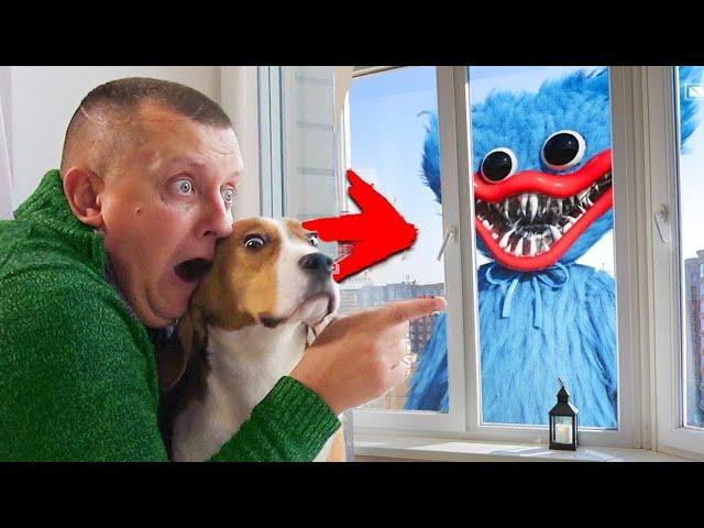 ШЕРЛОК ПРОТИВ ХАГИ ВАГИ. POPPY PLAYTIME. BROS SHOW PET