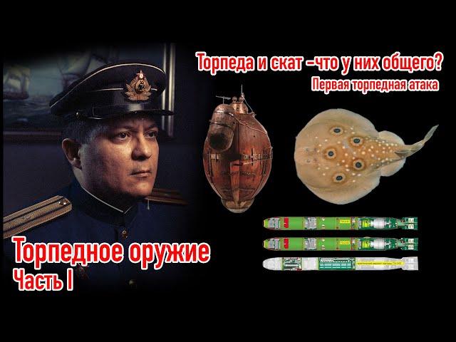 Торпедное оружие. Часть 1. Торпеды и скаты?