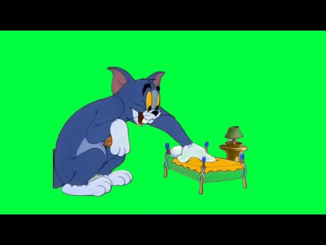 Green Screen Cartoon Tom and Jerry | Tom and Jerry Green Screen | Green Screen Cartoon Video