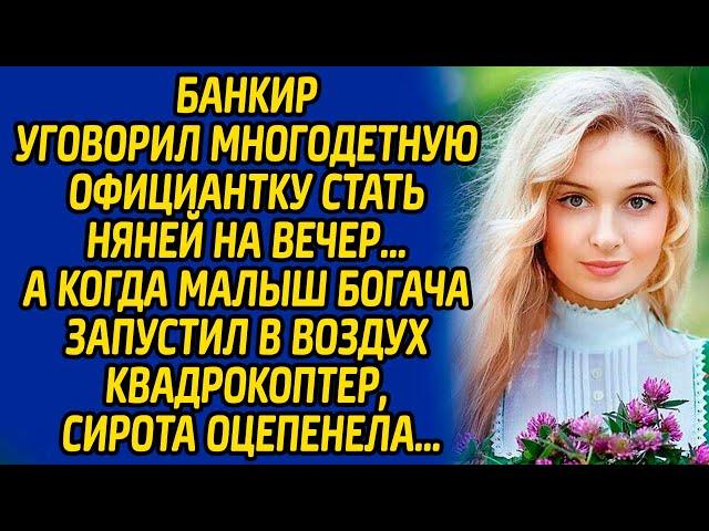 Банкир уговорил многодетную официантку стать няней на вечер а когда сын богача запустил квадрокоптер