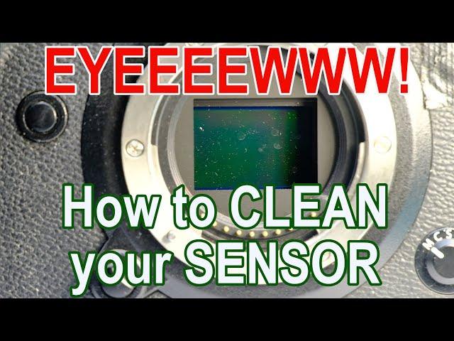 Sensor Cleaning for APSC cameras