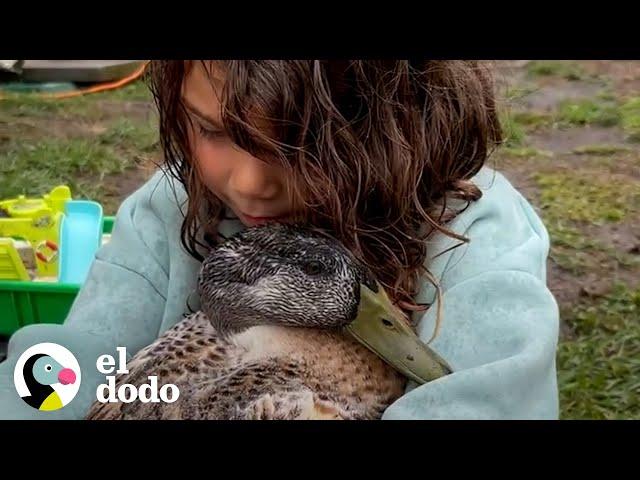 Niña pequeña rescata un huevo y termina con una mejor amiga | El Dodo