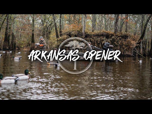 Duck Hunting- Arkansas Timber Hunting