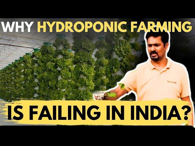 Uncovering the Truth About Hydroponics Farming: Why India's Method Is Failing | 2CuriousMind |