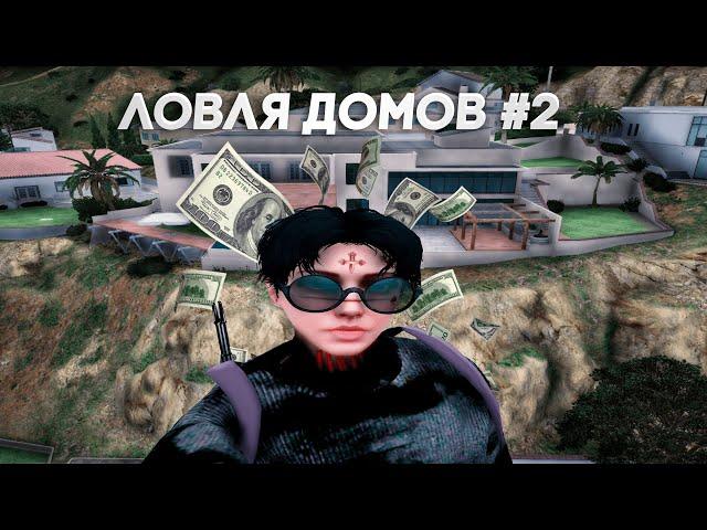 ЗАБРАЛ ВСЕ БЕШКИ | ЛОВЛЯ ДОМОВ #2 | GTA 5 RP GRAPESEED