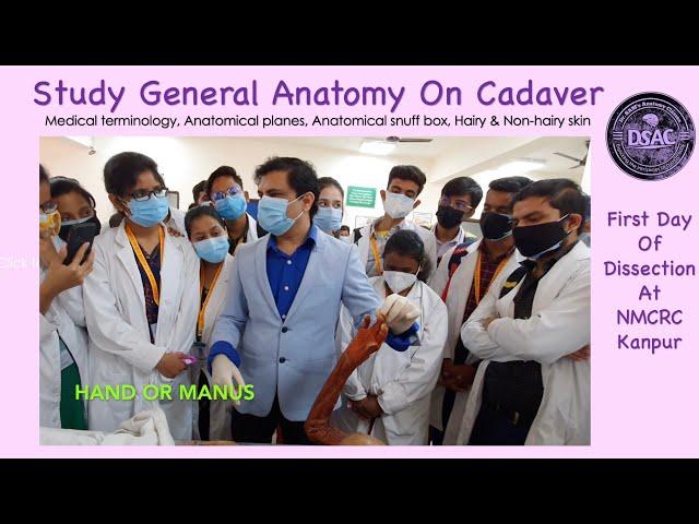 Study general anatomy on cadaver, First day at dissection hall, Medical & anatomical terminology