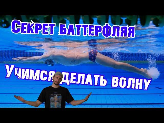 Техника плавания дельфином | Учимся с нуля