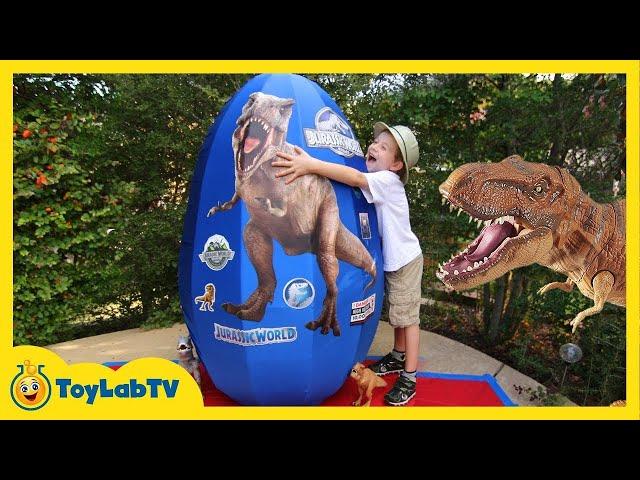 Giant Mystery Egg! T-Rex Dinosaur Surprise | T Rex Ranch | Kids Show | Weird Cartoons for Kids 