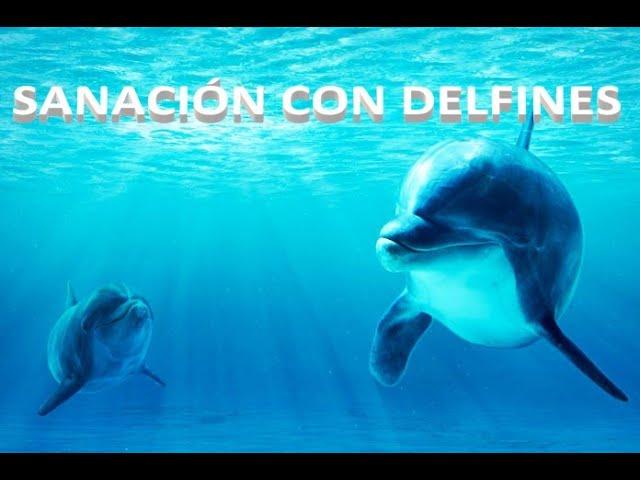 Música relajante | Sanación con delfines + Ondas Binaural Alfa