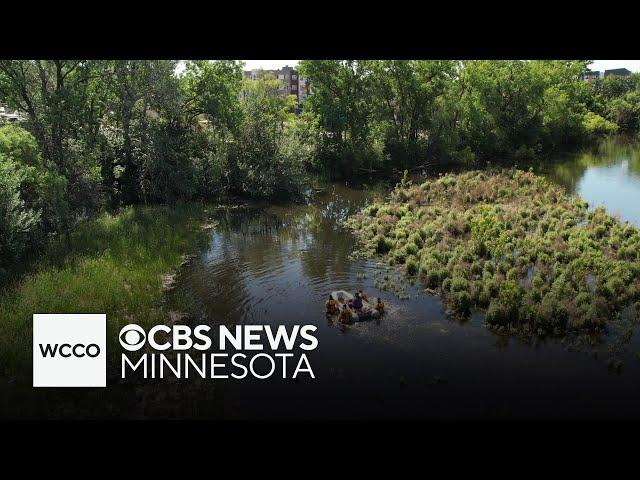 Crews find body of missing boy in Minnehaha Creek