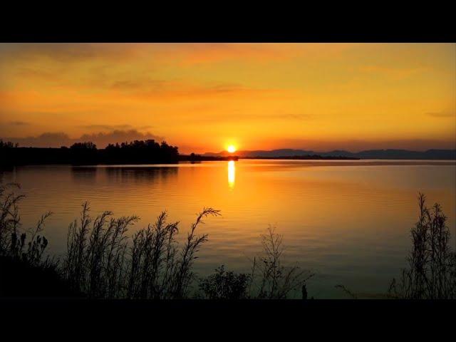 Calming Nature Ambience For Stress Relief, Relaxation & Sleep | Lake At Sunset | Loon Calls At Night