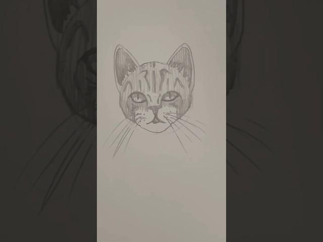 Draw a cat  Easy drawing lesson for new artists on how to draw a cat. #drawinglesson #drawcat #cat