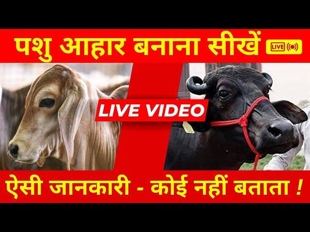 CATTLE FEED MACHINE - Live Pashu Aahar Banane ki Samasyaon Ka Samadhan