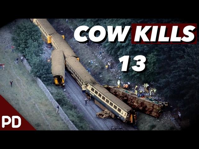 Intercity Train Hits Cow at 85 mph Derails and Crashes | Plainly Difficult