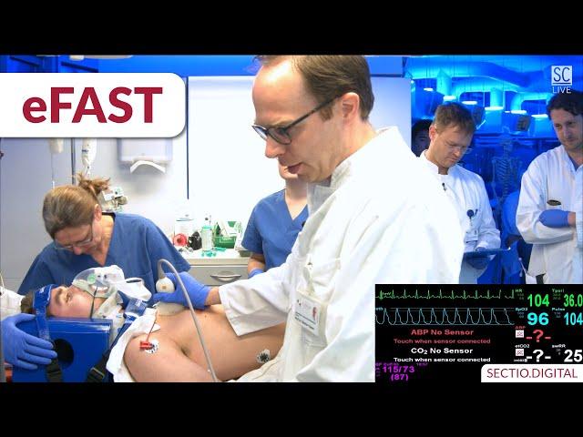 Traumapatient: eFAST-Sonographie