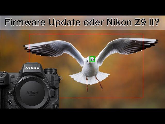 NIKON SCHLÄGT ZURÜCK! Nikon Z9 Autofokus Update (Vogelerkennung)