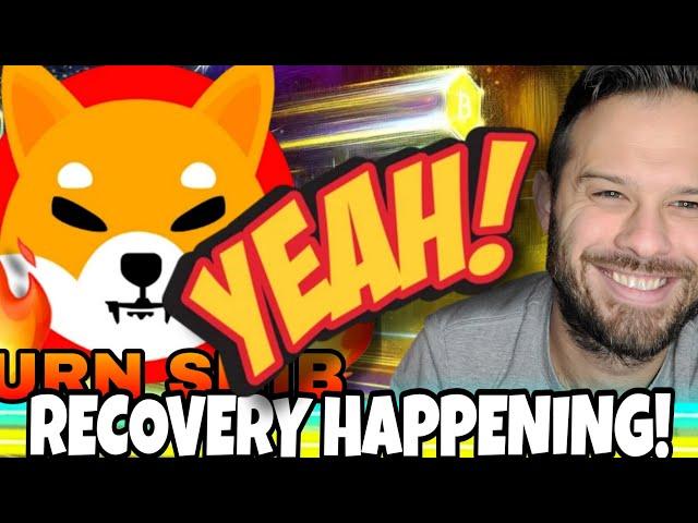 Shiba Inu Coin | SHIB Recover Happening Thanks To SHIB Whales!