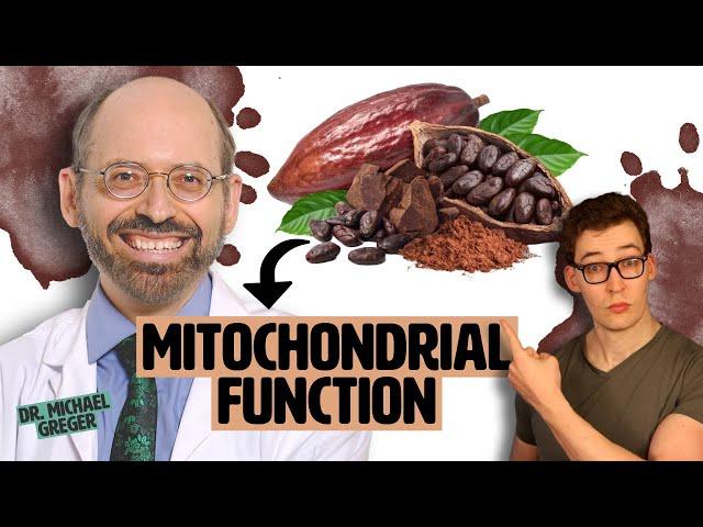 Dr. Greger: Cocoa for Muscle & Mitochondrial Function - Fact or Fiction?