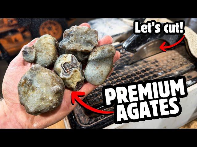 Cutting "White" Botswana Agate Nodules Open (WOW)