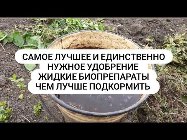 Лучшее органическое удобрение САМОЕ НУЖНОЕ